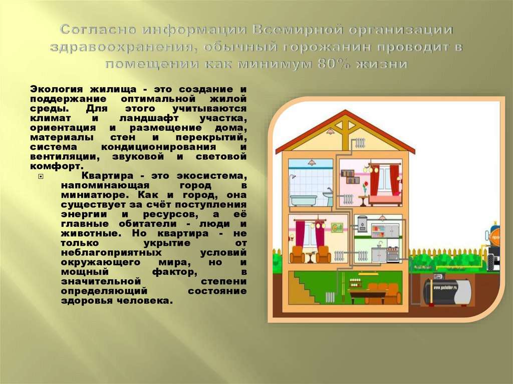 Экология моей квартиры проект